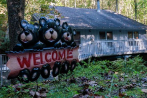 Misty Mountain Hop - Cobbly Nob Cabin with HotTub, Fast Wi-Fi, Privacy, Pool Gatlinburg